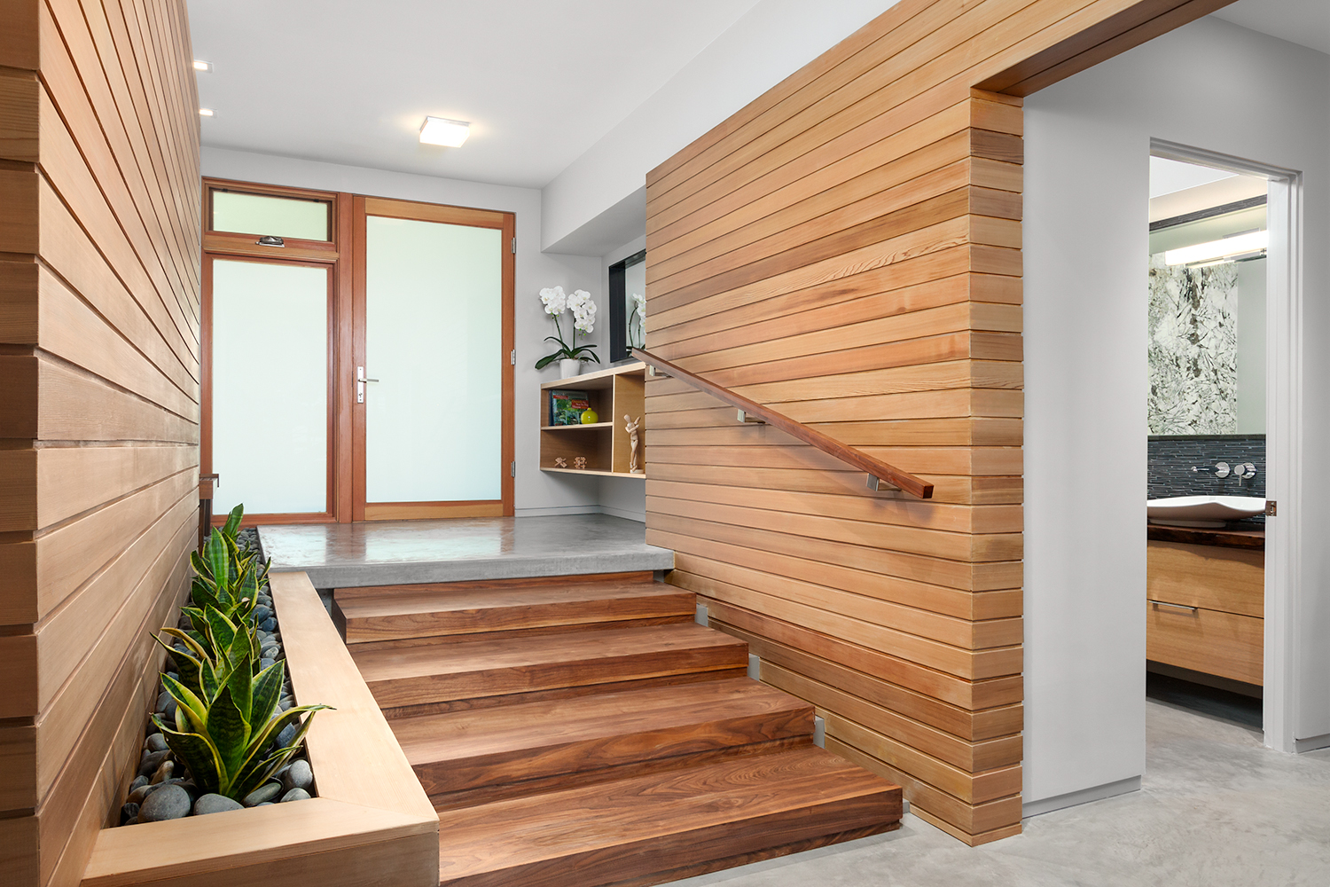 contemporary entrance with wooden stairs and some plats on the wall